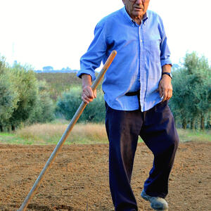Franco Crocetti