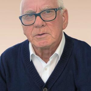 Angelo Armini