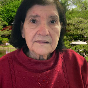 Anna Maria Strioni