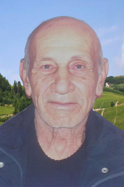 Domenico Maria  Matteo