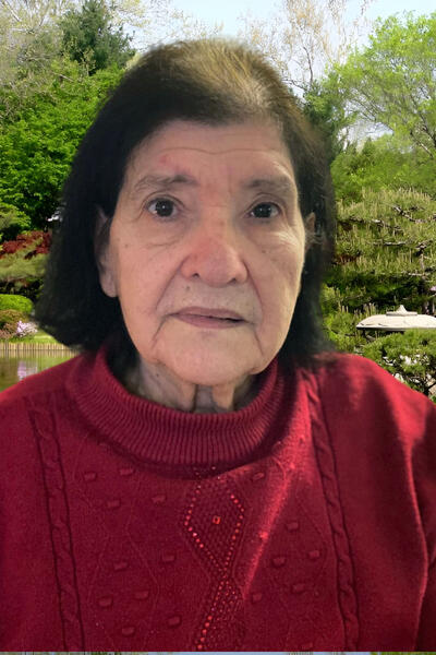 Anna Maria Strioni