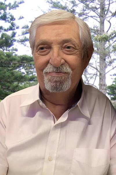 Domenico Biagioli