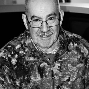Luigi  Golini