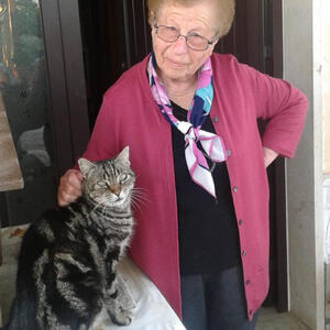 Annetta Marino