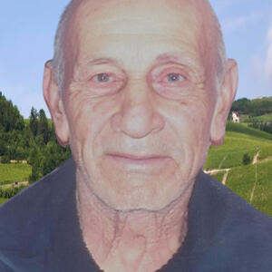 Domenico Maria  Matteo